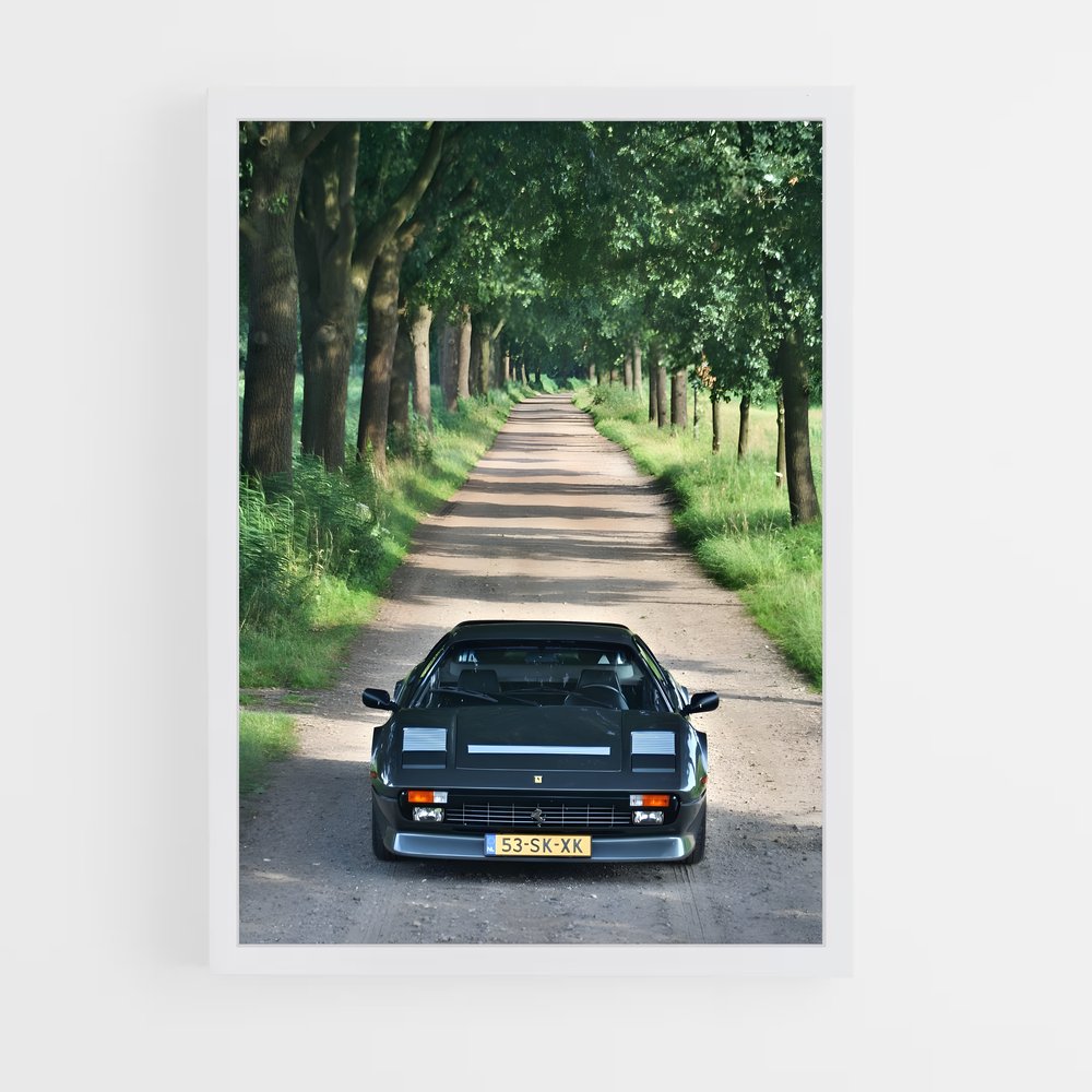 Poster Route de la Ferrari (vue 3)